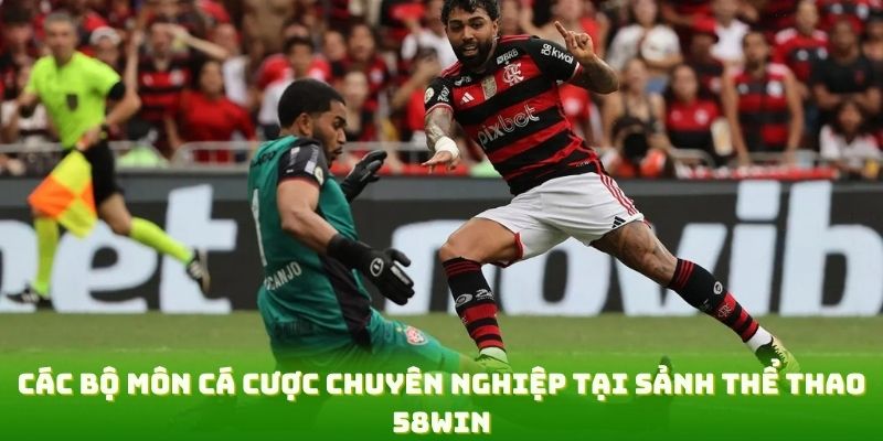 Các bộ môn cá cược chuyên nghiệp tại sảnh thể thao 58WIN