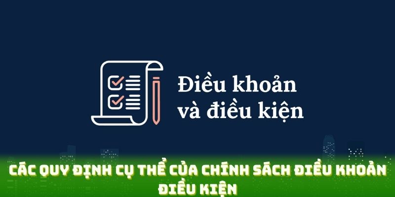 Các quy định cụ thể của chính sách điều khoản điều kiện